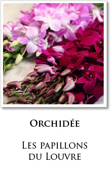 orchidee paris fleuriste